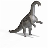 Camarasaurus 07 A_0001